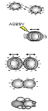 低電圧交流荷電凝集のメカニズム図
